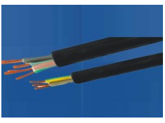 ����ʿ�̳�