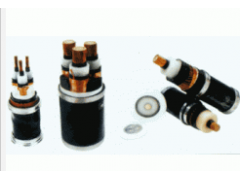 ����ʿ�̳�