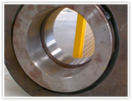 �L̩�C����