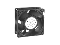 ����ʿ�̳�