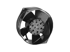 ����ʿ�̳�