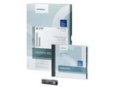 ����ʿ�̳�