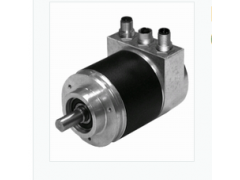 ����ʿ�̳�