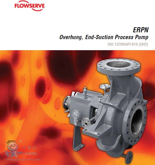 API過(guò)程泵-ERPN