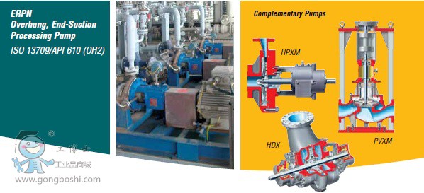 API過(guò)程泵-ERPN2