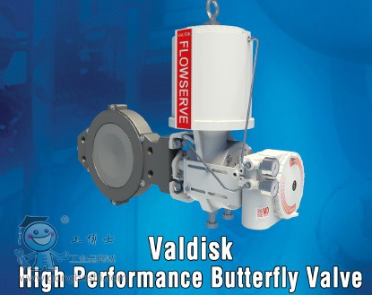 Valtek Valdisk �����ܵ��y-1