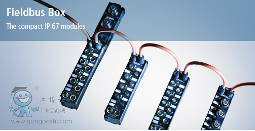 �����F���������Ӻ�