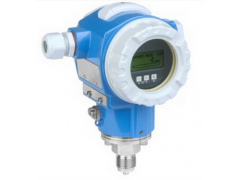 ����ʿ�̳�