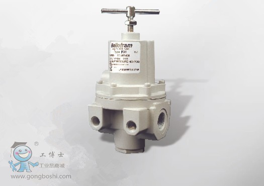 Belgas P38天然氣減壓閥