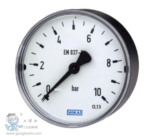 WIKA 110.12������1