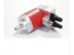 ����ʿ�̳�