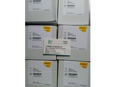 ����ʿ�̳�