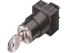 ����ʿ�̳�