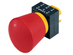 ����ʿ�̳�