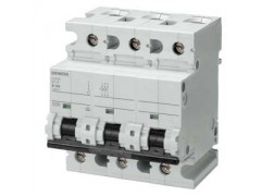 ����ʿ�̳�