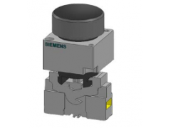 ����ʿ�̳�