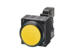 ����ʿ�̳�