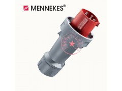 ����ʿ�̳�