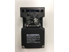 ����ʿ�̳�