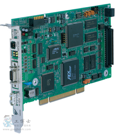 �����C�������