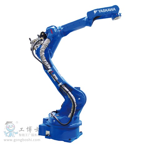 �����C����