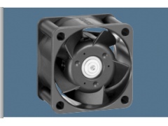 ����ʿ�̳�