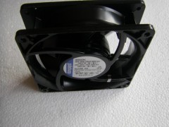 ����ʿ�̳�