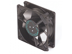 ����ʿ�̳�