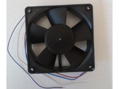 ����ʿ�̳�