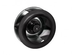 ����ʿ�̳�