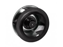 ����ʿ�̳�