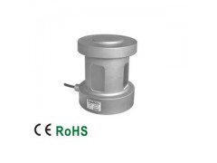 ����ʿ�̳�