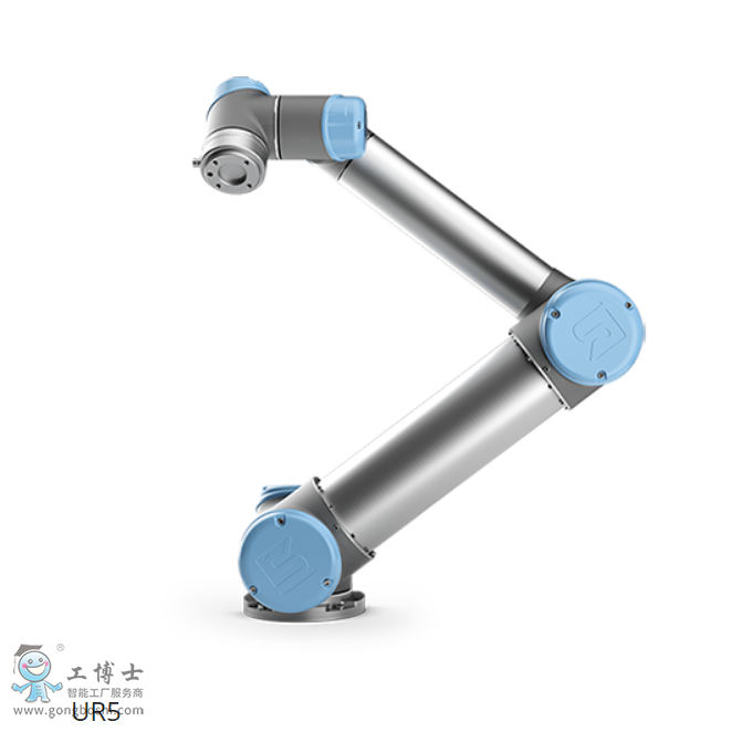 �����C����