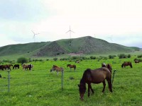 ��I(y��)�Ļ��c����