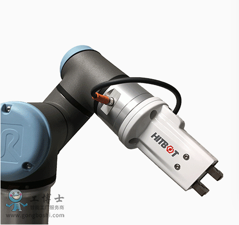 �����C����