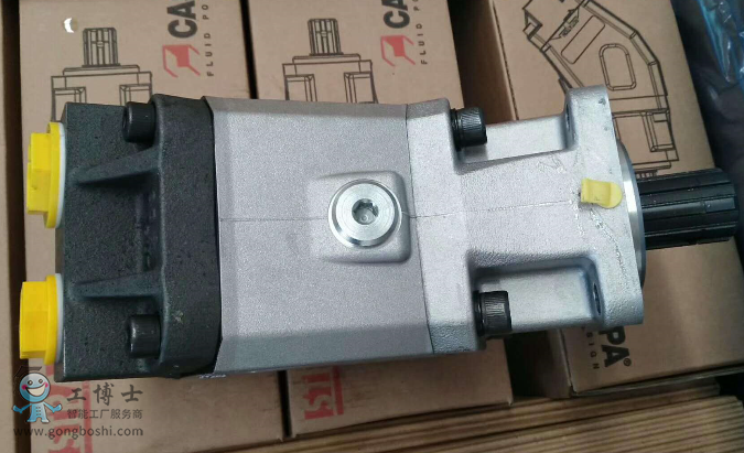 casappa б�S������1