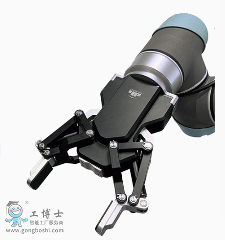 �����C����