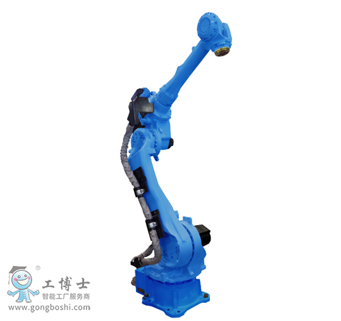 �����C����