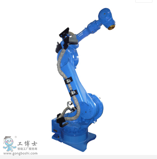 �����C����