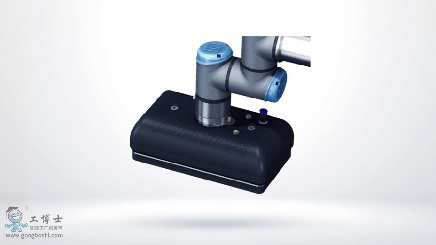 �����C����������P