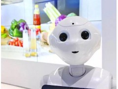 ܛ�yPepper�C���ˡ������v�ǻ�У�@