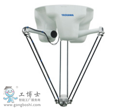 �����C����