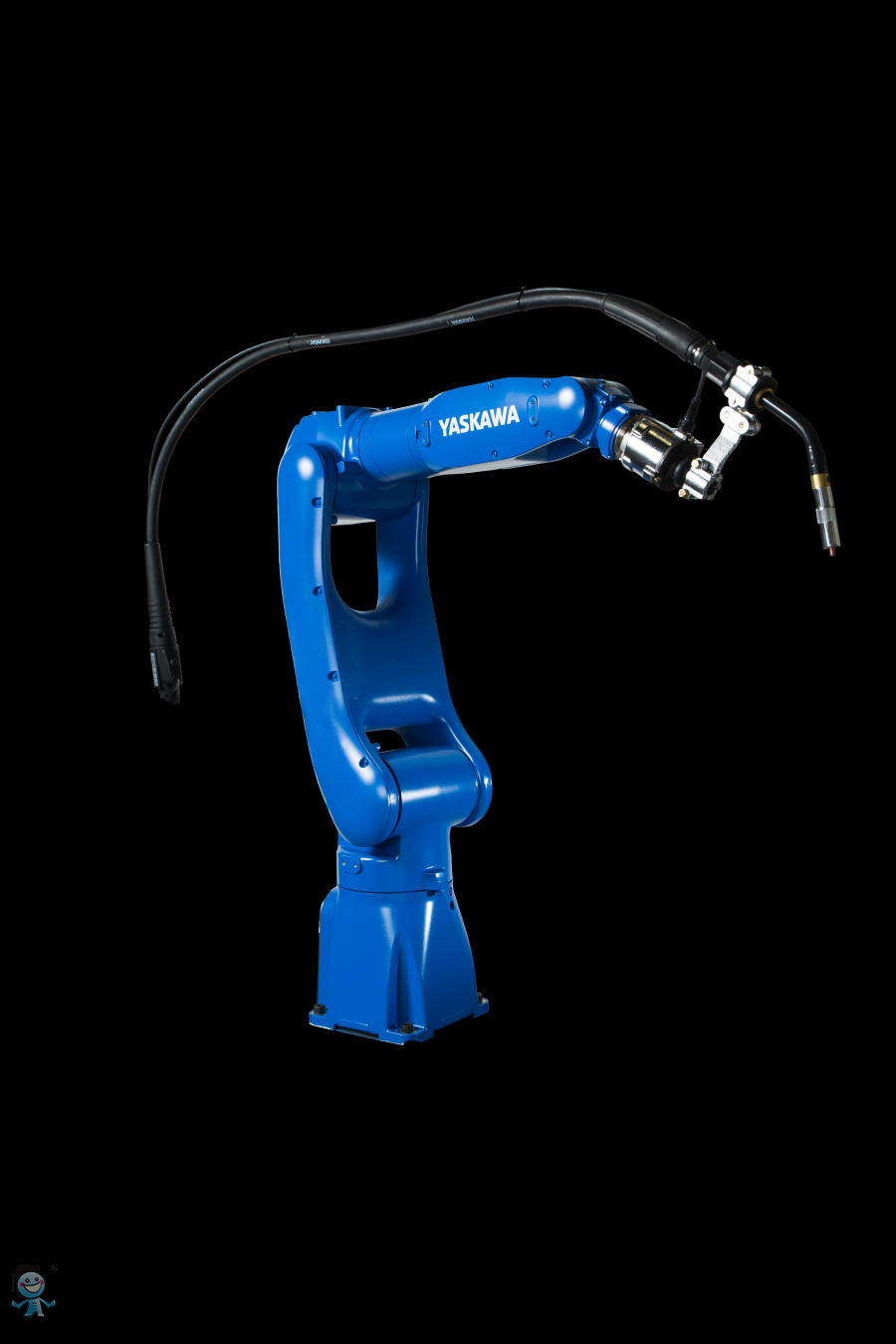 �����C����