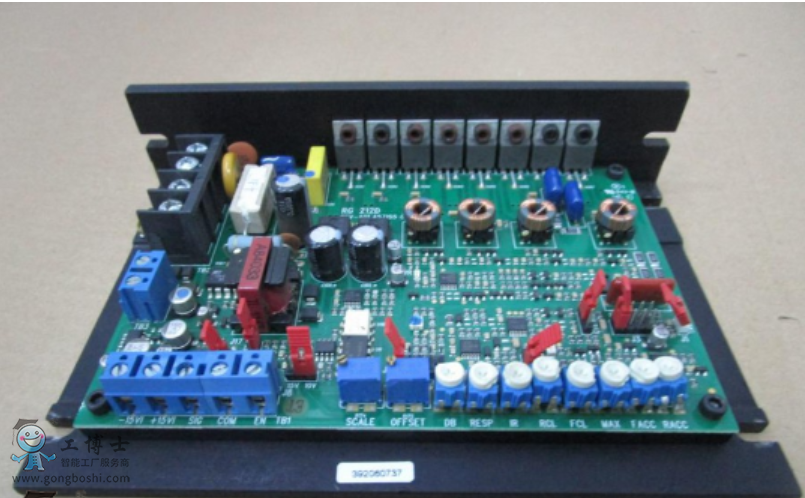 �����C����