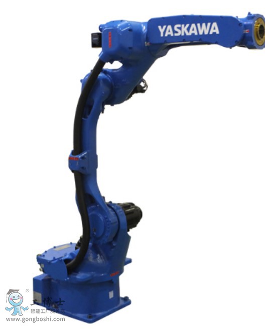 �����C�������