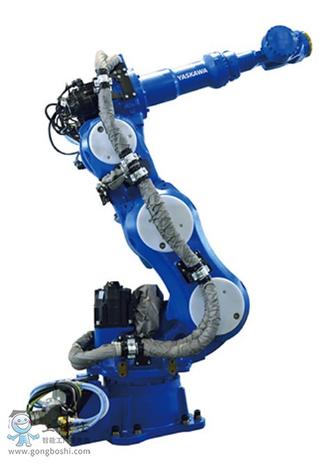 �����C�������