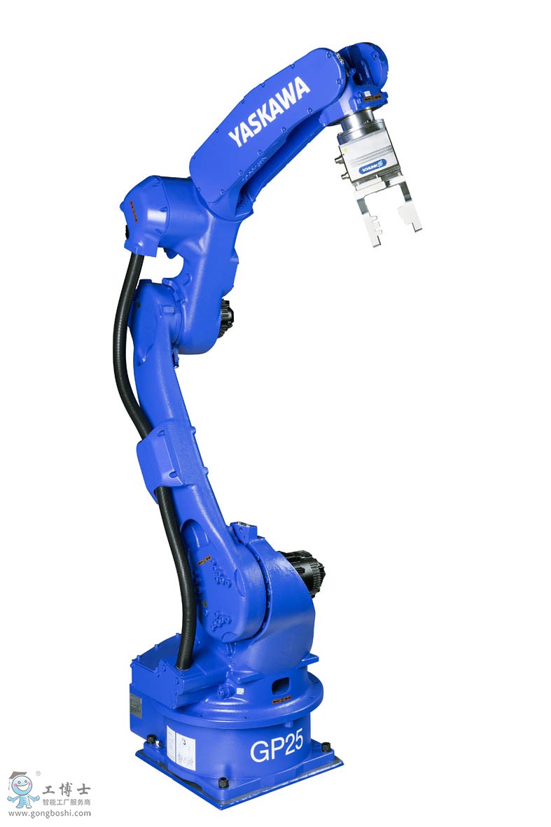 �����C����