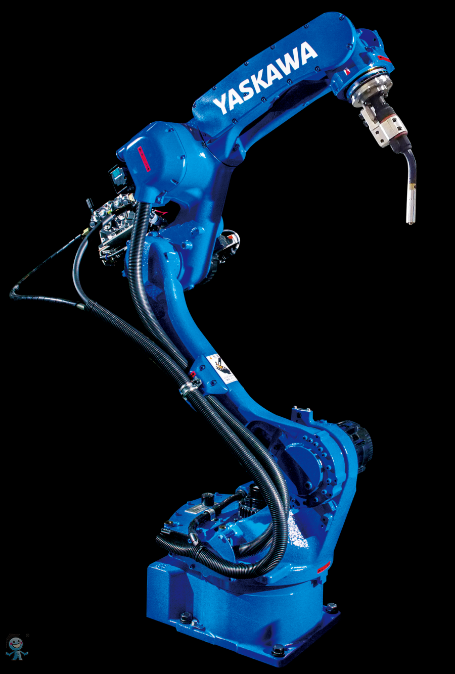 �����C����