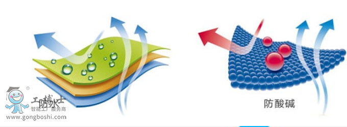 ���I�C���˷��o��