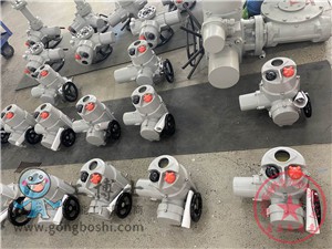 DQW�X������19